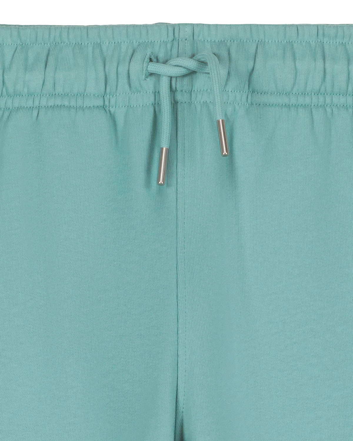 #color_teal-monstera