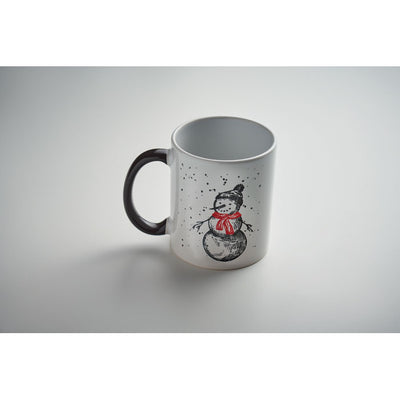FESTIMUG
